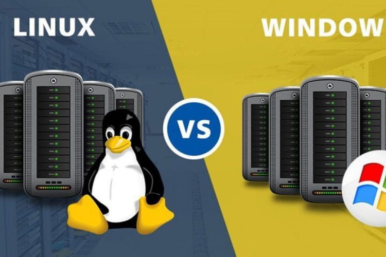 vps windows vs vps linux